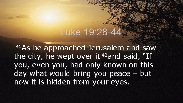 Luke 19: 28 -44 41 As he approached Jerusalem and saw the city, he