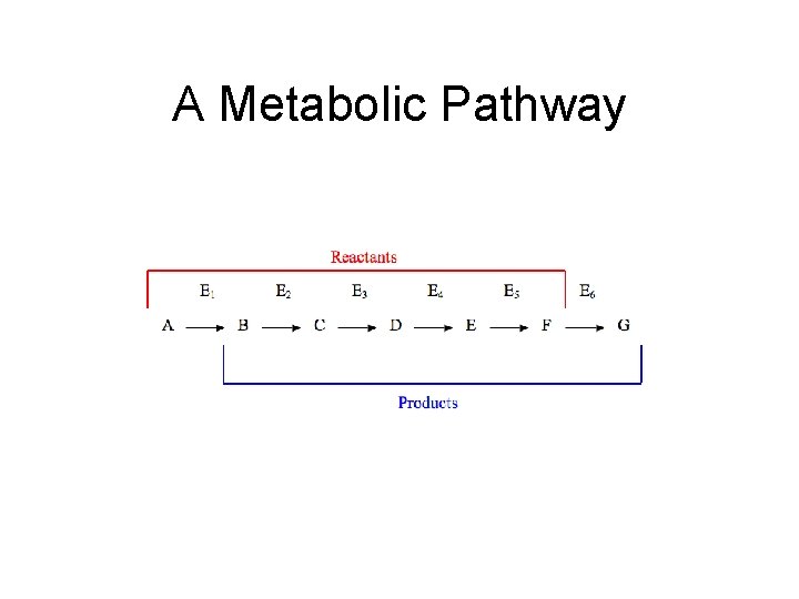 A Metabolic Pathway 