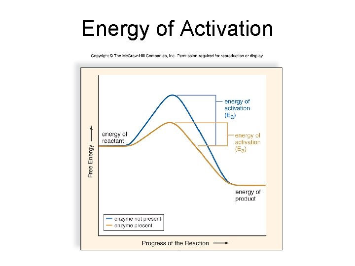 Energy of Activation 