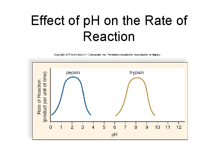 Effect of p. H on the Rate of Reaction 