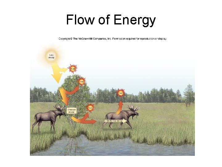 Flow of Energy 