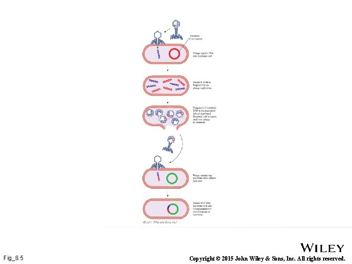 Fig_8. 5 Copyright © 2015 John Wiley & Sons, Inc. All rights reserved. 