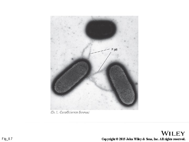 Fig_8. 7 Copyright © 2015 John Wiley & Sons, Inc. All rights reserved. 