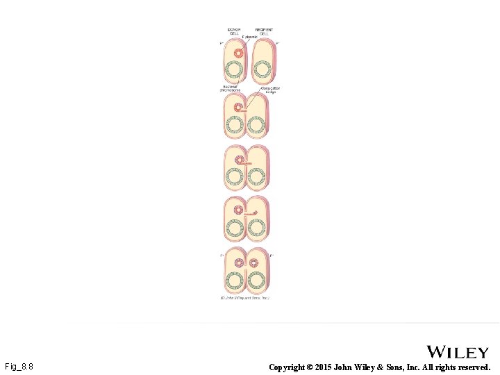 Fig_8. 8 Copyright © 2015 John Wiley & Sons, Inc. All rights reserved. 