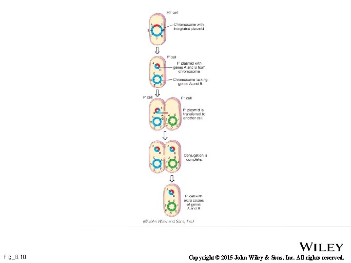 Fig_8. 10 Copyright © 2015 John Wiley & Sons, Inc. All rights reserved. 