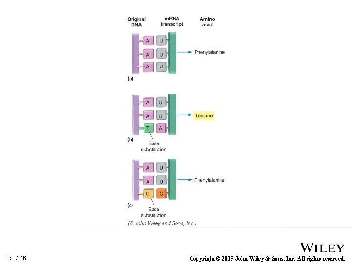 Fig_7. 16 Copyright © 2015 John Wiley & Sons, Inc. All rights reserved. 