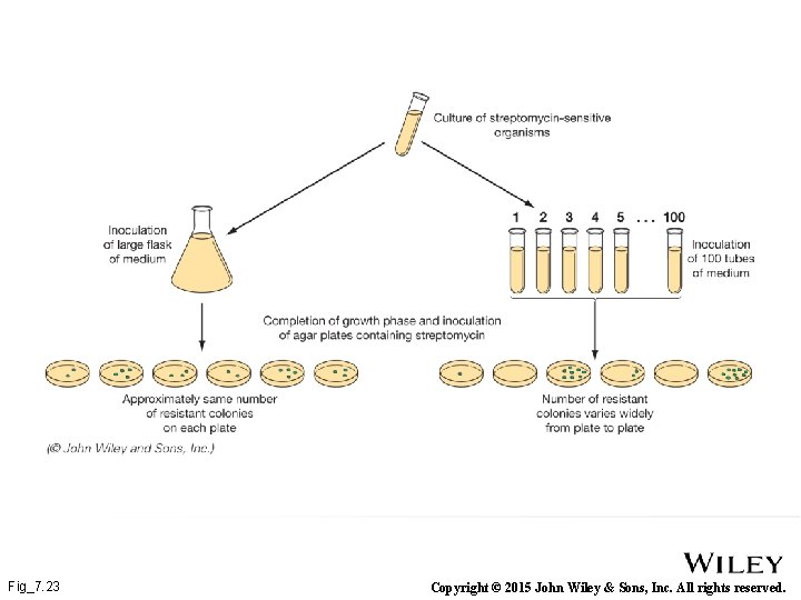 Fig_7. 23 Copyright © 2015 John Wiley & Sons, Inc. All rights reserved. 