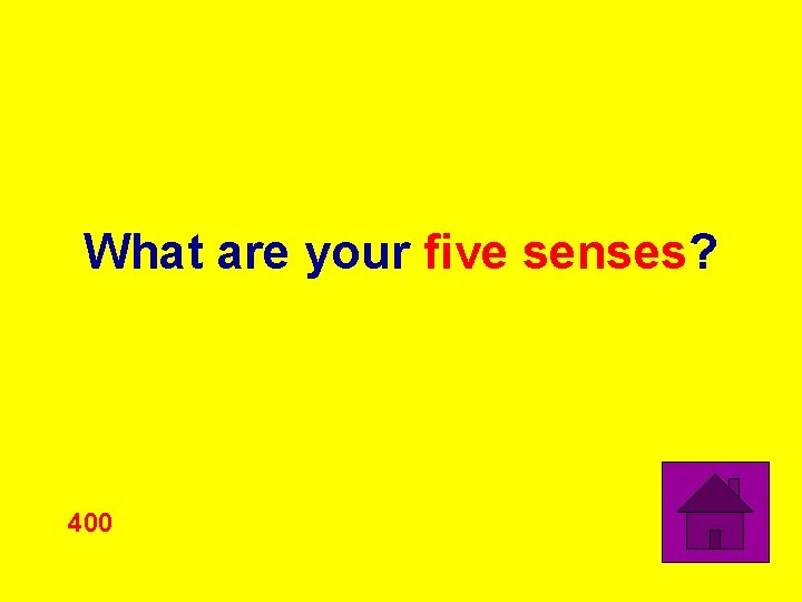 What are your five senses? 400 