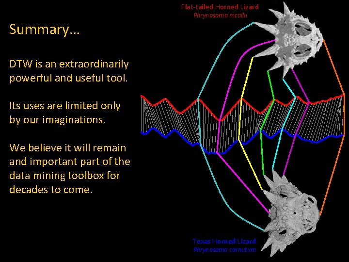 Flat-tailed Horned Lizard Summary… Phrynosoma mcallii DTW is an extraordinarily powerful and useful tool. Flat-tailed Horned Lizard Summary… Phrynosoma mcallii DTW is an extraordinarily powerful and useful tool.