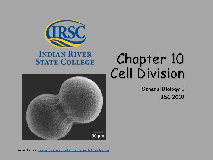 Chapter 10 Cell Division General Biology I BSC 2010 Download for free at http: