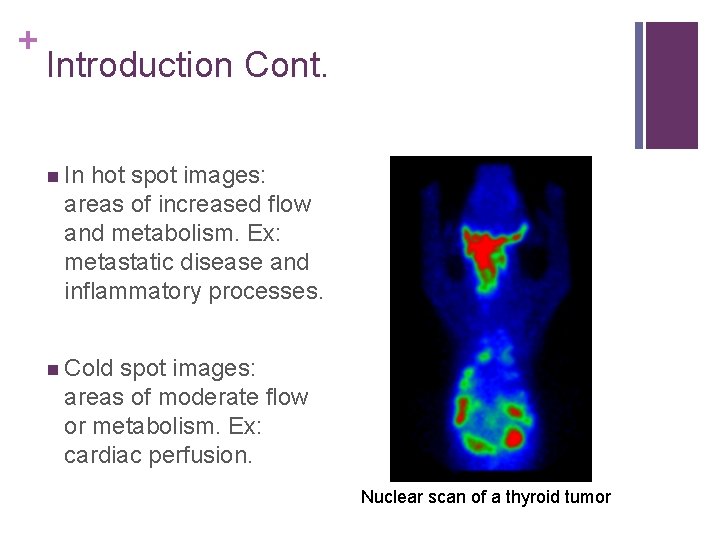 + Introduction Cont. n In hot spot images: areas of increased flow and metabolism.