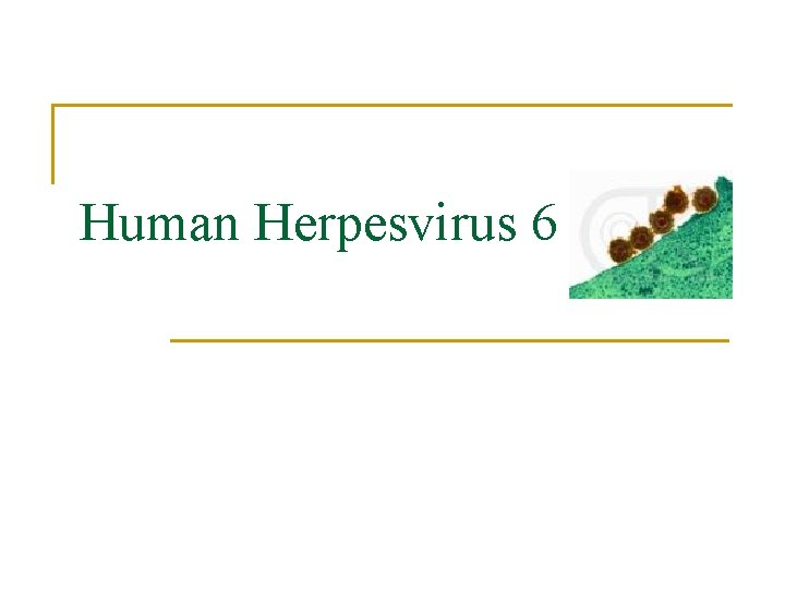 Human Herpesvirus 6 