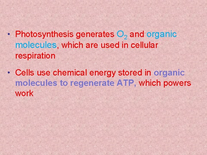  • Photosynthesis generates O 2 and organic molecules, which are used in cellular