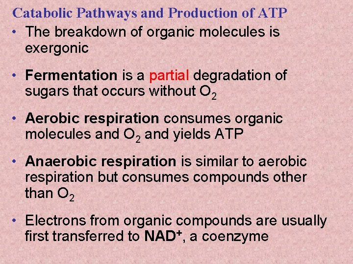 Catabolic Pathways and Production of ATP • The breakdown of organic molecules is exergonic