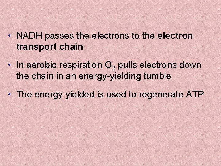  • NADH passes the electrons to the electron transport chain • In aerobic