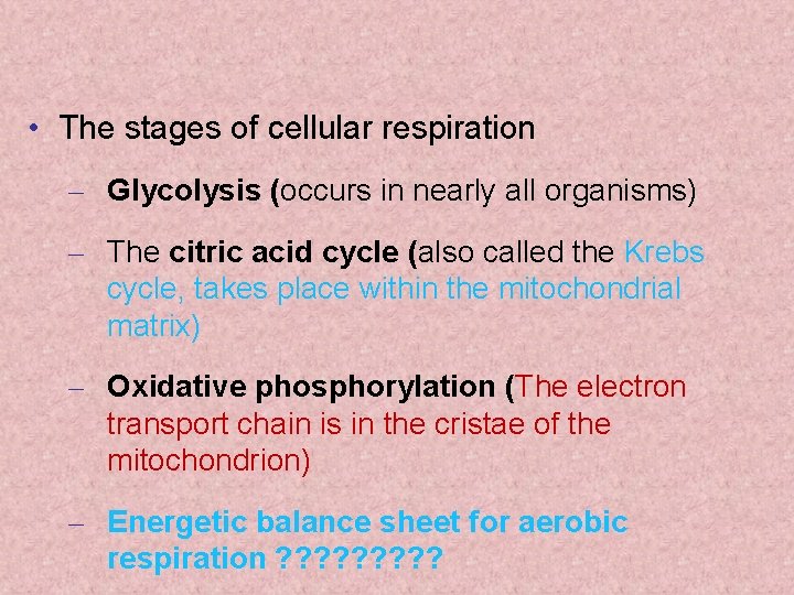  • The stages of cellular respiration – Glycolysis (occurs in nearly all organisms)