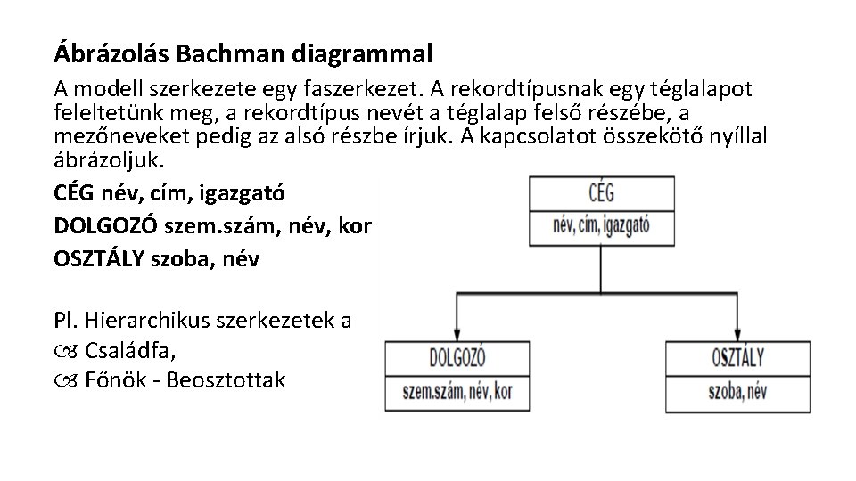 Ábrázolás Bachman diagrammal A modell szerkezete egy faszerkezet. A rekordtípusnak egy téglalapot feleltetünk meg,