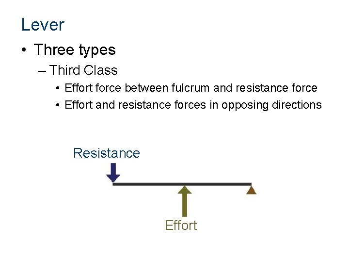 Lever • Three types – Third Class • Effort force between fulcrum and resistance