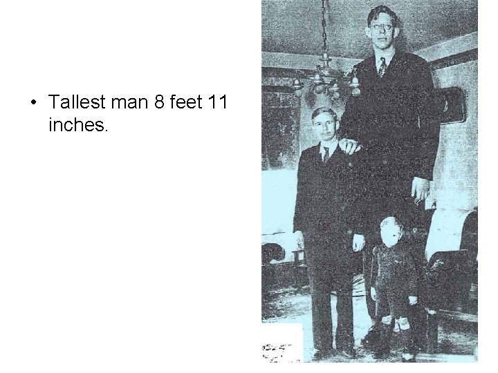  • Tallest man 8 feet 11 inches. 