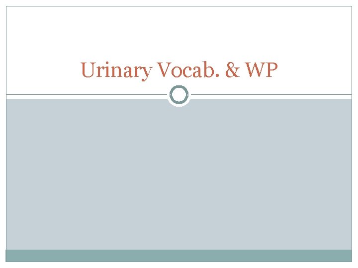 Urinary Vocab. & WP 