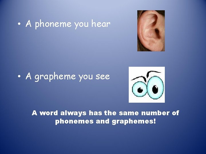 • A phoneme you hear • A grapheme you see A word always • A phoneme you hear • A grapheme you see A word always