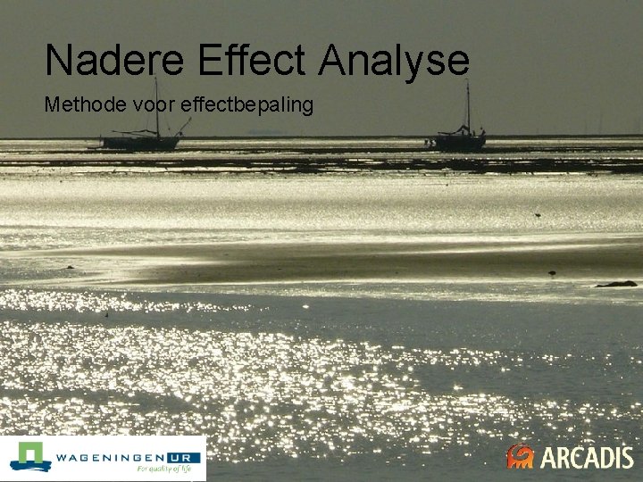 Nadere Effect Analyse Methode voor effectbepaling Imagine the result 