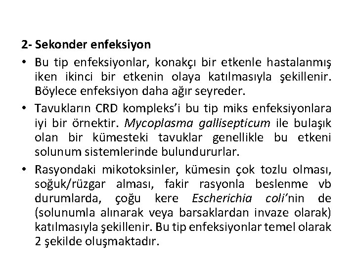 2 - Sekonder enfeksiyon • Bu tip enfeksiyonlar, konakçı bir etkenle hastalanmış iken ikinci