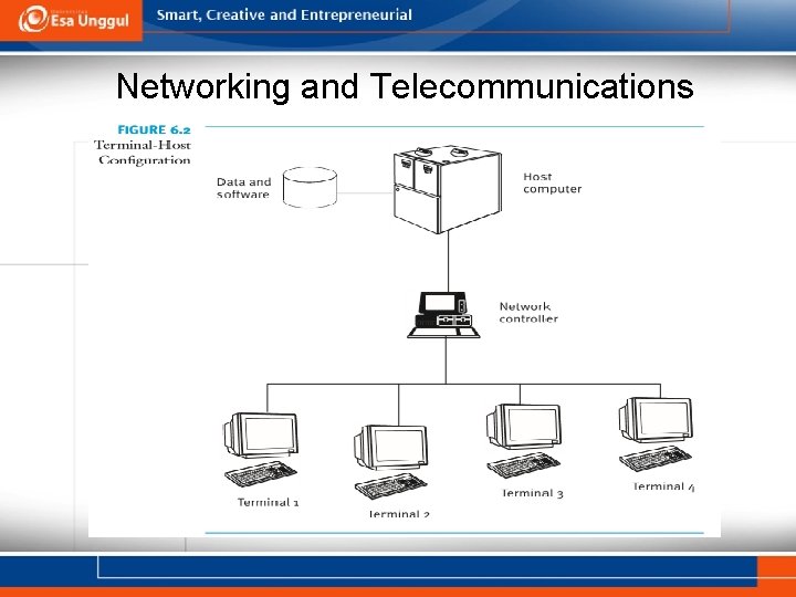 Networking and Telecommunications 