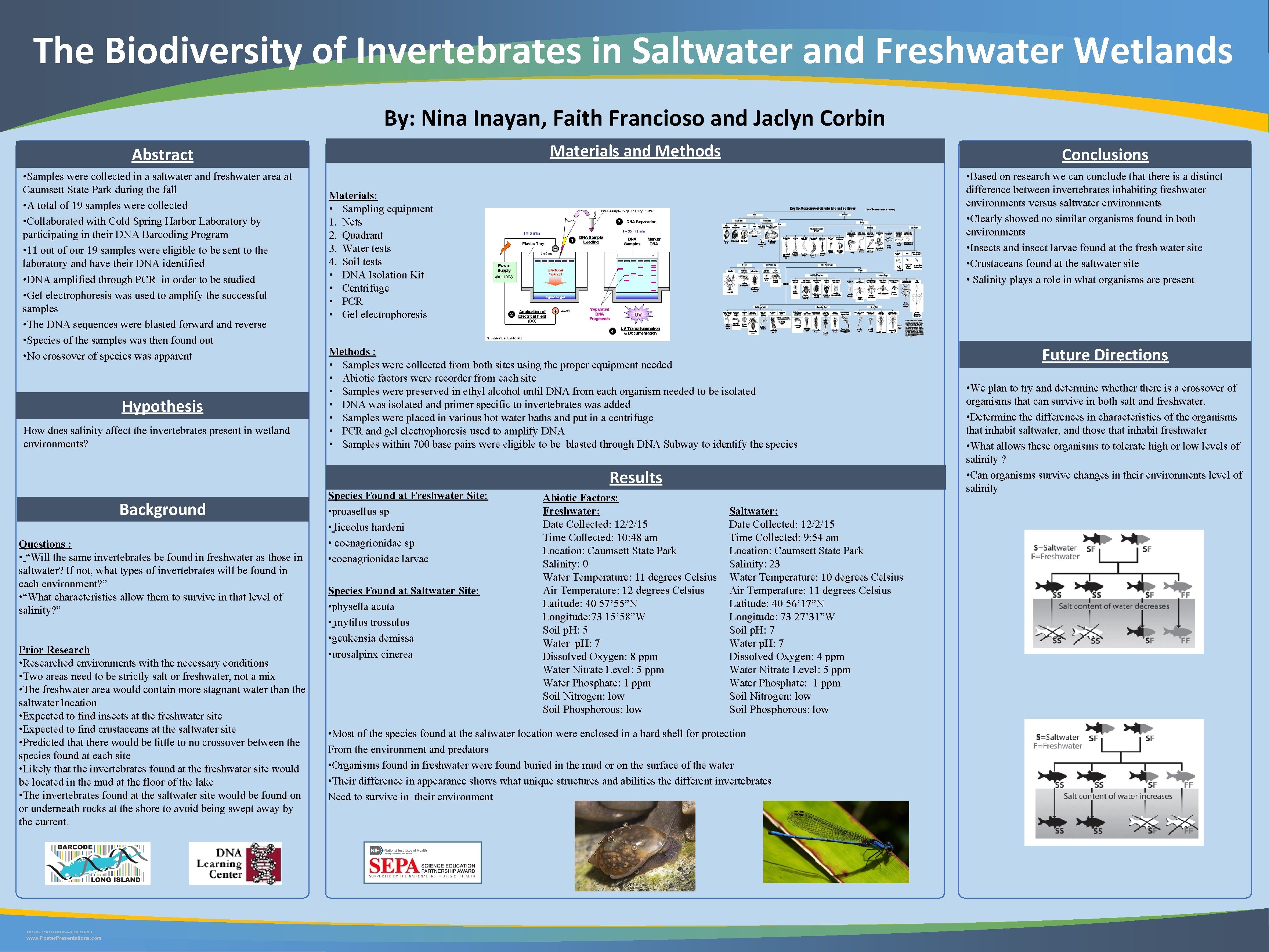 The Biodiversity of Invertebrates in Saltwater and Freshwater Wetlands By: Nina Inayan, Faith Francioso