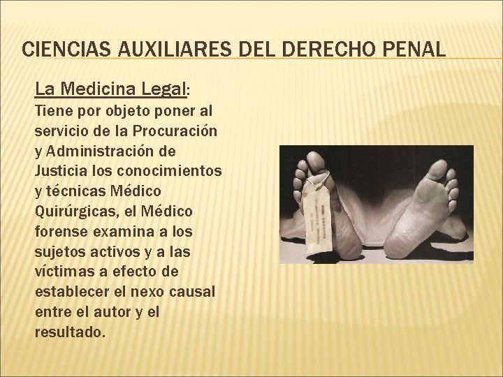 CIENCIAS AUXILIARES DEL DERECHO PENAL La Medicina Legal: Tiene por objeto poner al servicio