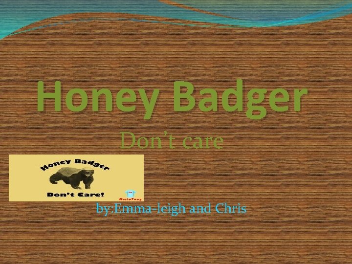 Honey Badger Don’t care by: Emma-leigh and Chris 