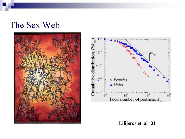 The Sex Web Lilijeros et. al ‘ 01 The Sex Web Lilijeros et. al ‘ 01