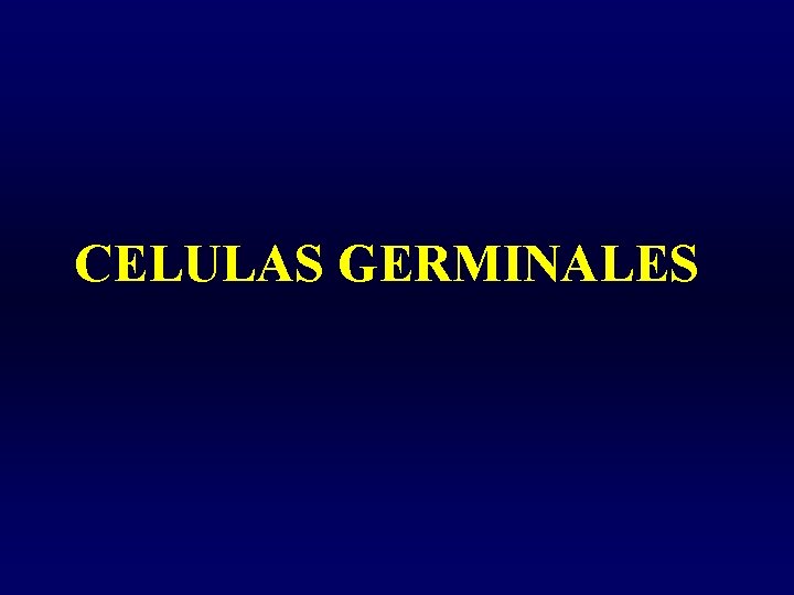 CELULAS GERMINALES 