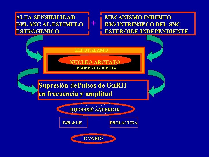 ALTA SENSIBILIDAD DEL SNC AL ESTIMULO ESTROGENICO + MECANISMO INHIBITO RIO INTRINSECO DEL SNC