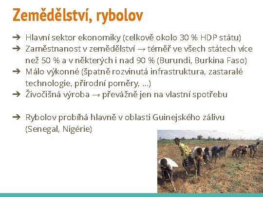 Zemědělství, rybolov ➔ Hlavní sektor ekonomiky (celkově okolo 30 % HDP státu) ➔ Zaměstnanost