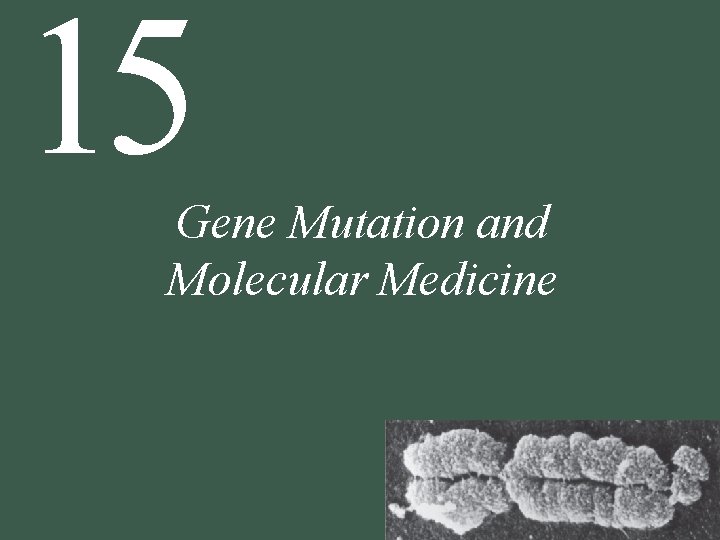 15 Gene Mutation and Molecular Medicine 