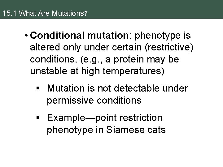 15 Gene Mutation and Molecular Medicine 15 Gene