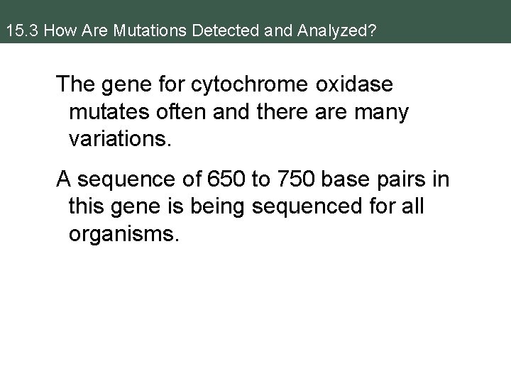 15. 3 How Are Mutations Detected and Analyzed? The gene for cytochrome oxidase mutates