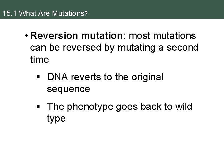 15. 1 What Are Mutations? • Reversion mutation: most mutations can be reversed by