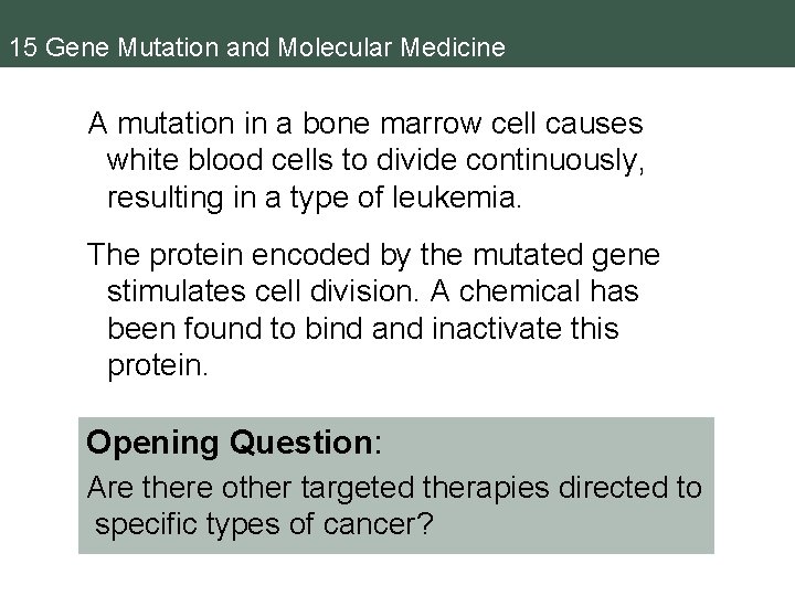 15 Gene Mutation and Molecular Medicine A mutation in a bone marrow cell causes