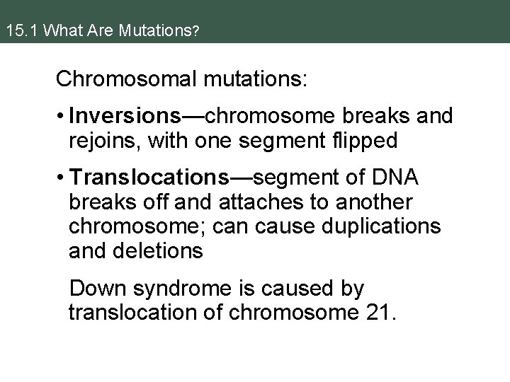 15. 1 What Are Mutations? Chromosomal mutations: • Inversions—chromosome breaks and rejoins, with one