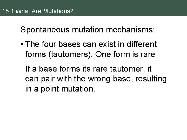 15. 1 What Are Mutations? Spontaneous mutation mechanisms: • The four bases can exist