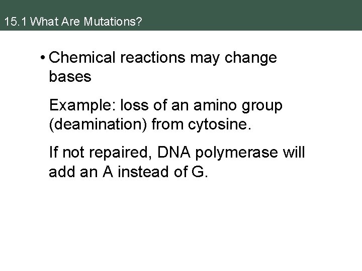 15. 1 What Are Mutations? • Chemical reactions may change bases Example: loss of
