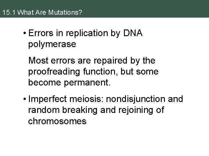 15. 1 What Are Mutations? • Errors in replication by DNA polymerase Most errors