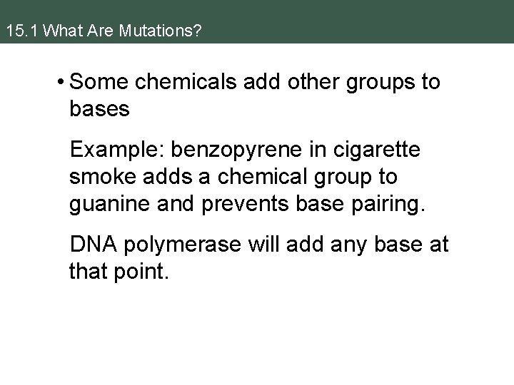 15. 1 What Are Mutations? • Some chemicals add other groups to bases Example: