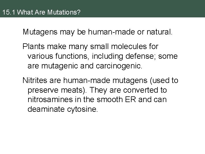 15. 1 What Are Mutations? Mutagens may be human-made or natural. Plants make many