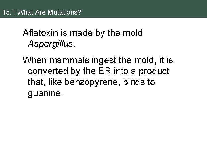 15. 1 What Are Mutations? Aflatoxin is made by the mold Aspergillus. When mammals