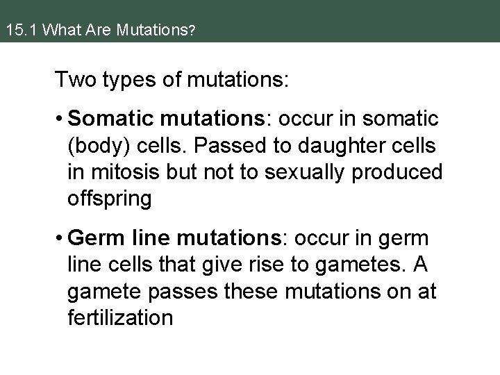 15. 1 What Are Mutations? Two types of mutations: • Somatic mutations: occur in