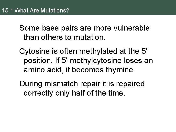 15. 1 What Are Mutations? Some base pairs are more vulnerable than others to