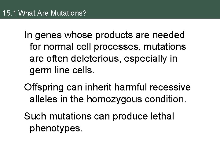 15. 1 What Are Mutations? In genes whose products are needed for normal cell